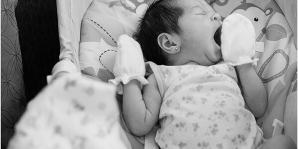 24459407251_8cbcdc81cd_k